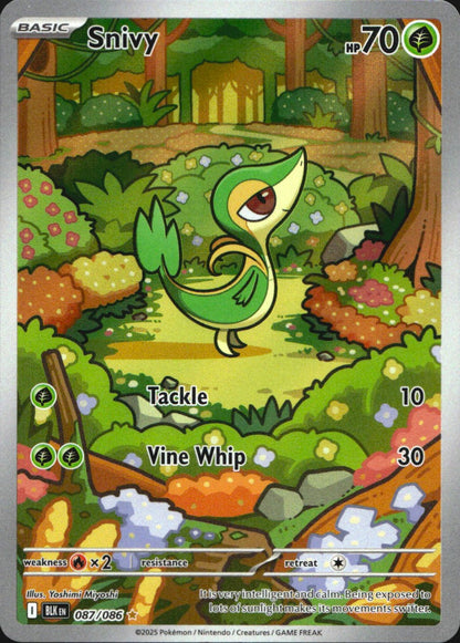 Snivy 087/086 Holo Illustration Rare Black Bolt Pokemon Near Mint