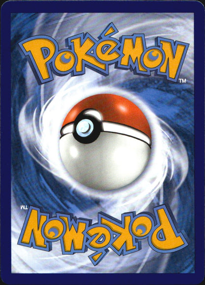 Lucario V SWSH213 Sword & Shield Promo Holo Promo Pokemon Near Mint