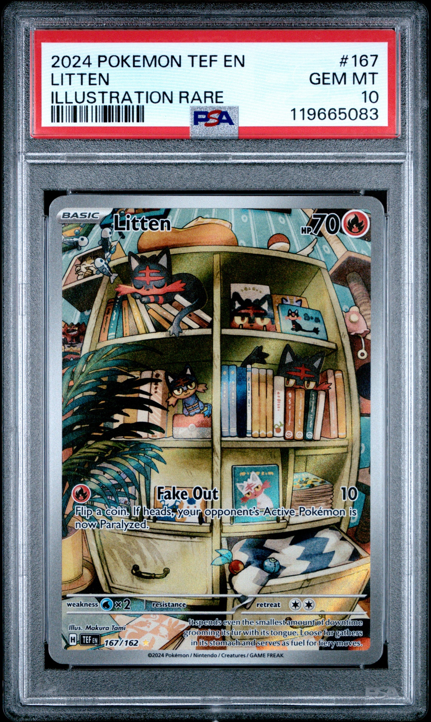 Litten 167/162 Illustration Rare Tef En-temporal Forces Pokemon PSA 10