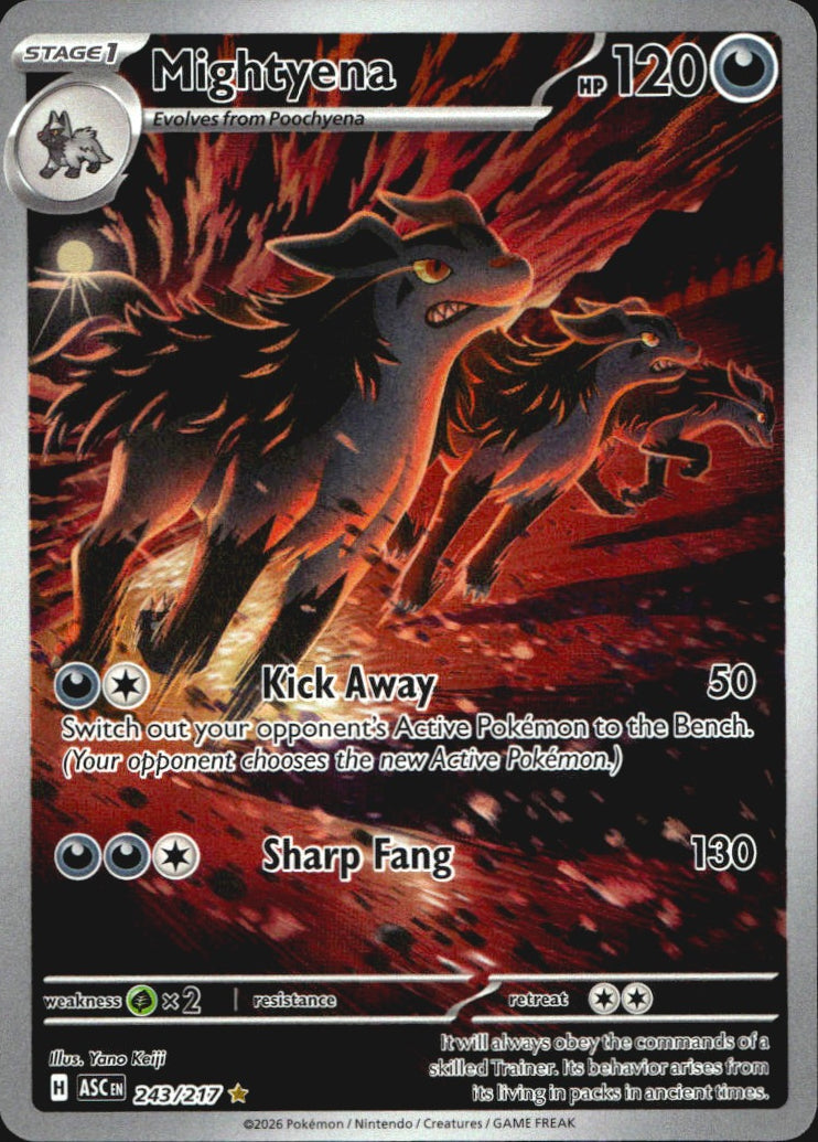 Mightyena 243/217 Illustration Rare Ascended Heroes Pokemon Near Mint