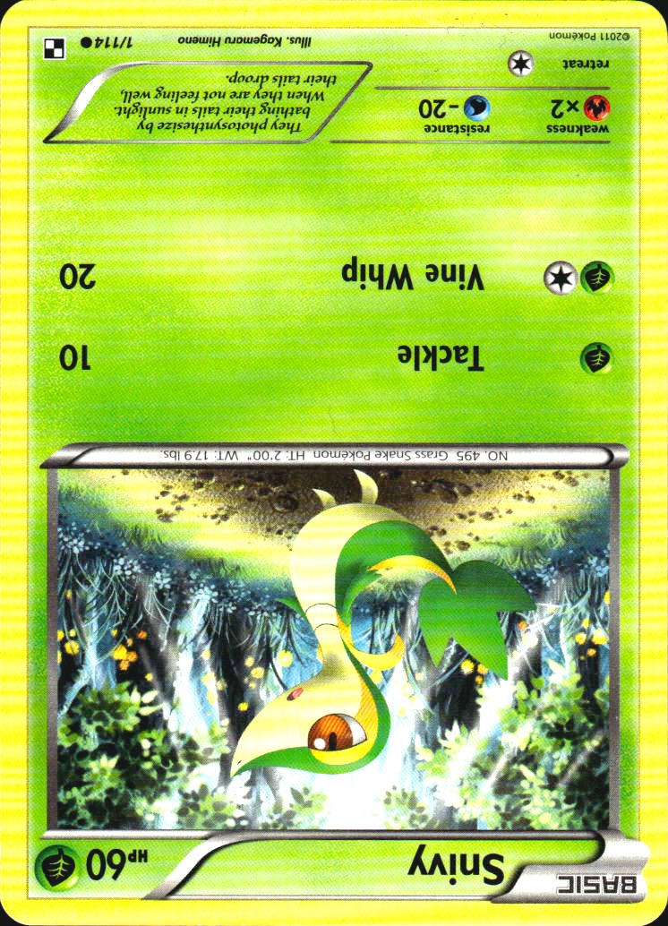Snivy 1/114 Common Black & White Pokemon Near Mint