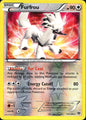 Furfrou 114/146 Holo Rare XY Pokemon Reverse Holo Near Mint