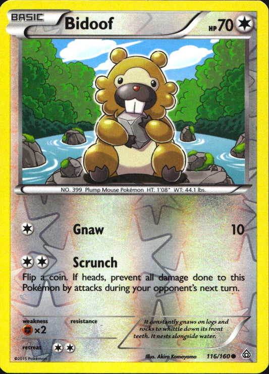 Bidoof 116/160 Common Primal Clash Pokemon Reverse Holo Near Mint