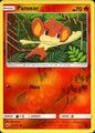 Pansear 22/147 Common Burning Shadows Pokemon Reverse Holo Near Mint