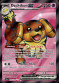 Dachsbun ex 160/142 Ultra Rare Stellar Crown Pokemon Near Mint