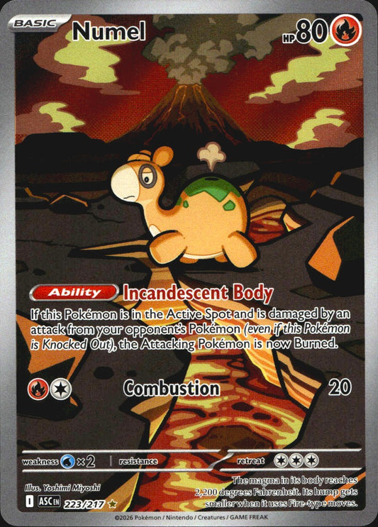 Numel 223/217 Illustration Rare ME: Ascended Heroes Pokemon Near Mint