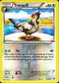 Tranquill 79/108 Uncommon Roaring Skies Pokemon Reverse Holo Near Mint