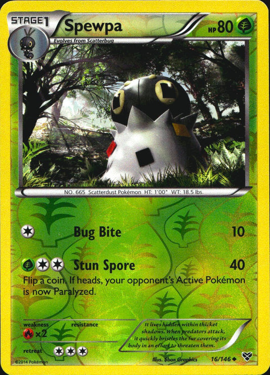 Spewpa 16/146 Uncommon XY Pokemon Reverse Holo Near Mint