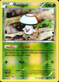 Foongus 12/114 Common Steam Siege Pokemon Reverse Holo Near Mint
