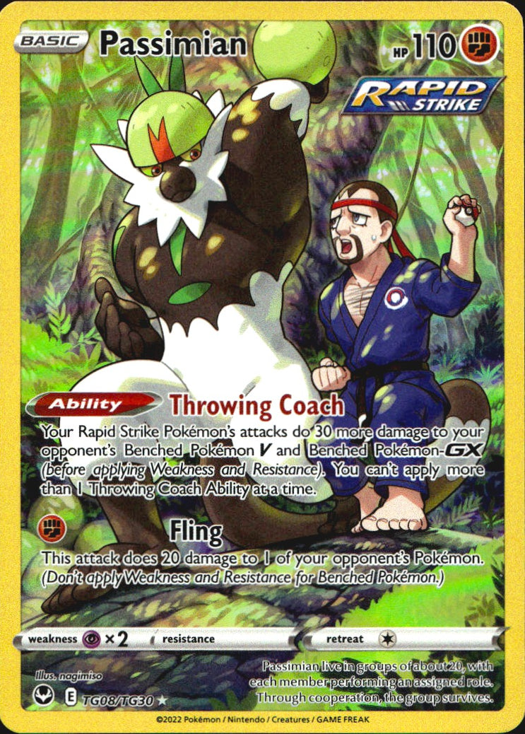 Passimian TG08/TG30 Holo Silver Tempest Trainer Gallery Pokemon NM