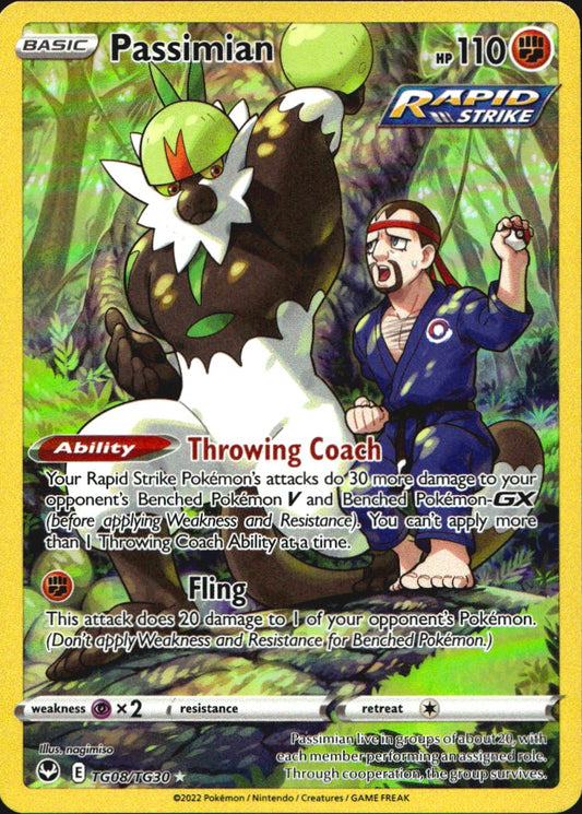 Passimian TG08/TG30 Holo Silver Tempest Trainer Gallery Pokemon NM