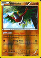 Hawlucha 63/111 Furious Fists Pokemon Reverse Holo Near Mint