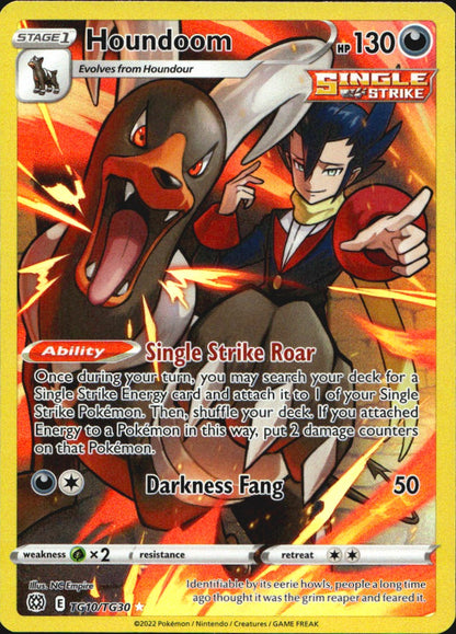 Houndoom TG10/TG30 Holo Brilliant Stars Trainer Gallery Pokemon NM