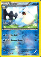 Sealeo 30/124 Uncommon Dragons Exalted Pokemon Reverse Holo Near Mint