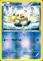 Oshawott 30/114 Common Steam Siege Pokemon Reverse Holo Near Mint