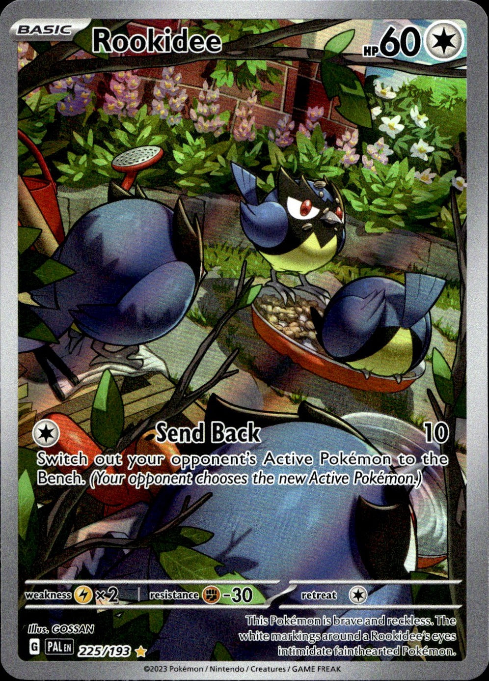 Rookidee 225/193 Illustration Rare Paldea Evolved Pokemon Near Mint