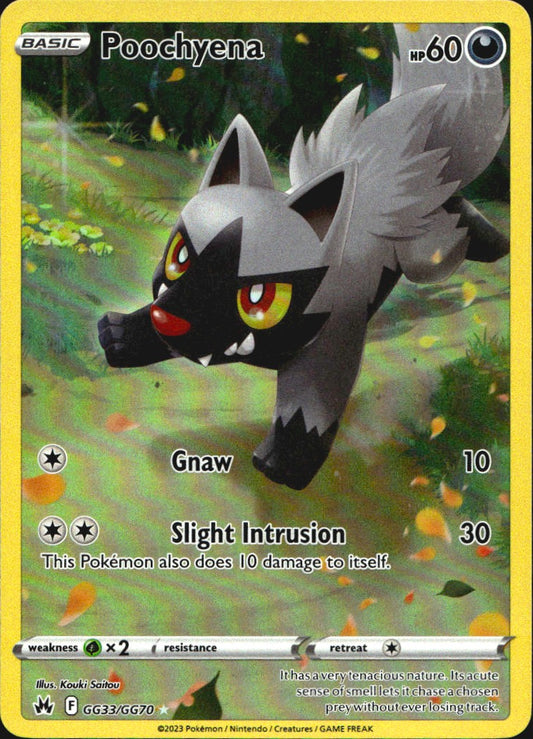 Poochyena GG33/GG70 Holo Crown Zenith Galarian Gallery Pokemon NM