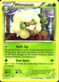 Whimsicott 15/149 Rare Boundaries Crossed Pokemon Near Mint