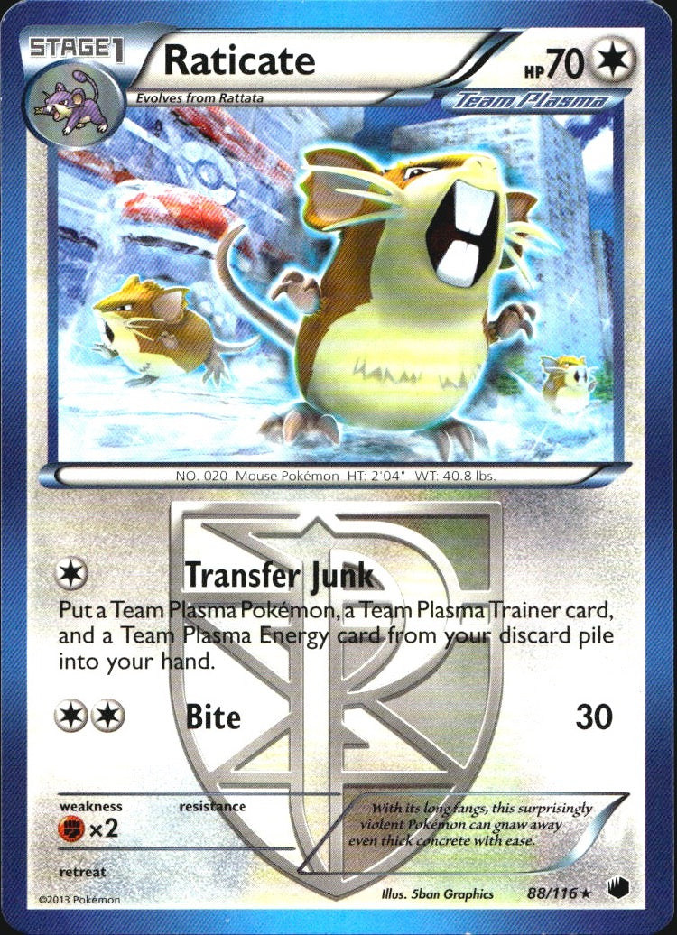 Raticate 88/116 Rare Plasma Freeze Pokemon Near Mint