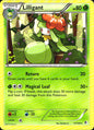 Lilligant 17/149 Rare Boundaries Crossed Pokemon Near Mint