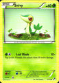 Snivy 2/114 Common Black & White Pokemon Near Mint