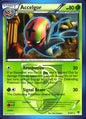 Accelgor 8/101 Rare Plasma Blast Pokemon Near Mint