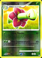 Meganium 13/123 Mysterious Treasures Pokemon Reverse Holo Near Mint