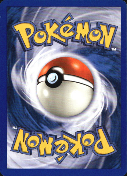 Teddiursa 109/144 Common Skyridge Pokemon Near Mint