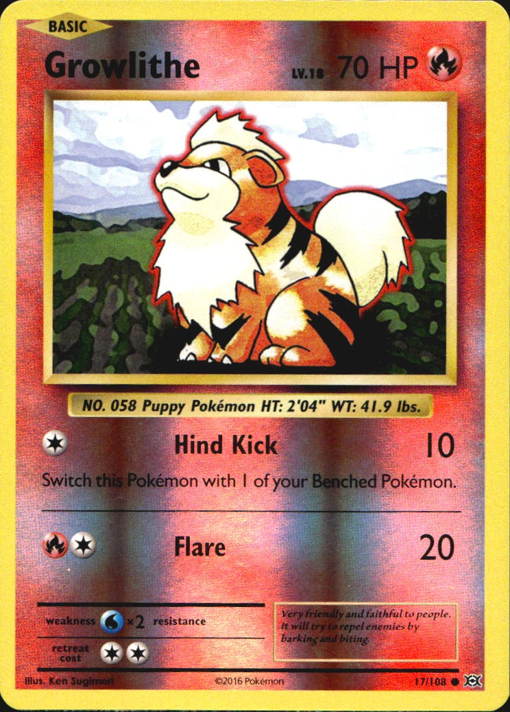 Growlithe 17/108 Common Evolutions Pokemon Reverse Holo Near Mint