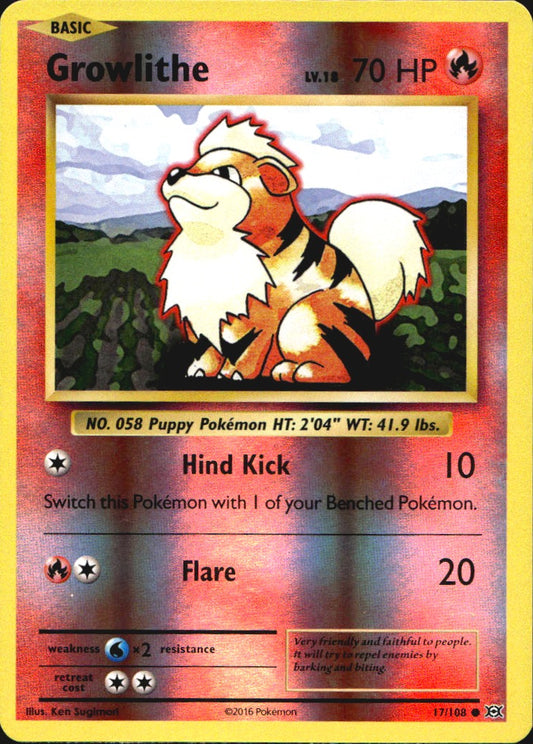 Growlithe 17/108 Common Evolutions Pokemon Reverse Holo Near Mint