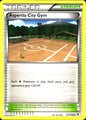 Aspertia City Gym 127/149 Uncommon Boundaries Crossed Pokemon Near Mint