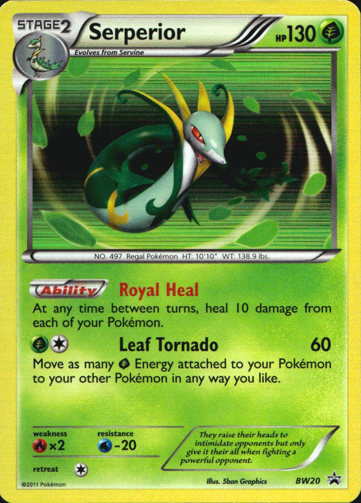 Serperior BW20 Promo BW Black Star Promos Pokemon Near Mint