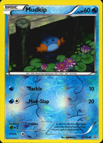 Mudkip 33/160 Common Primal Clash Pokemon Reverse Holo Near Mint