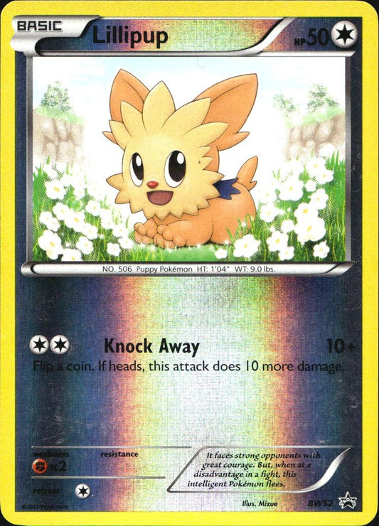 Lillipup BW52 Promo BW Black Star Promos Pokemon Reverse Holo Near Mint