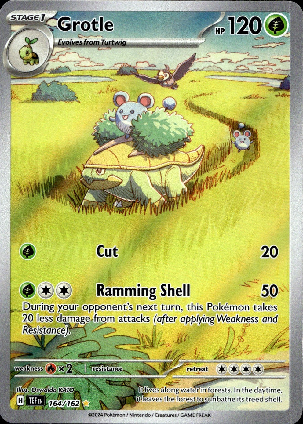 Grotle 164/162 Illustration Rare Temporal Forces Pokemon Near Mint