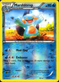 Marshtomp 34/160 Uncommon Primal Clash Pokemon Reverse Holo Near Mint