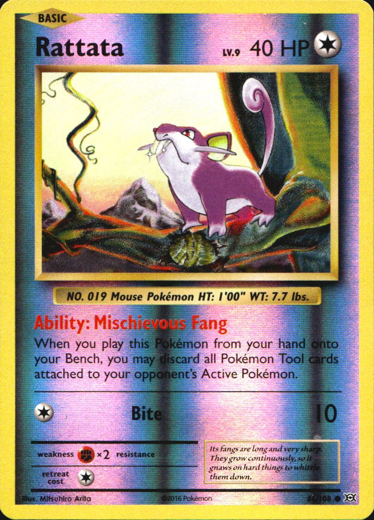 Rattata 66/108 Common Evolutions Pokemon Reverse Holo Near Mint
