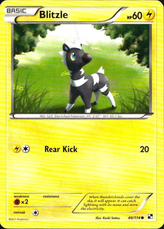 Blitzle 40/114 Common Black & White Pokemon Near Mint