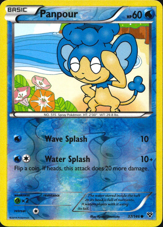 Panpour 37/146 Common XY Pokemon Near Mint