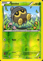 Seedot 4/122 Common BREAKpoint Pokemon Reverse Holo Near Mint