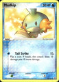 Mudkip 56/106 Common Emerald Pokemon Near Mint