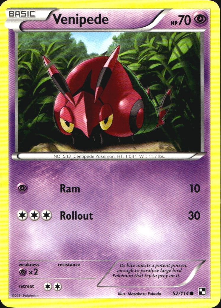Venipede 52/114 Common Black & White Pokemon Near Mint