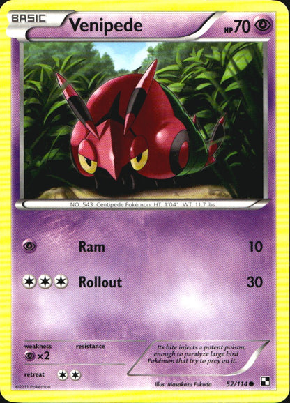 Venipede 52/114 Common Black & White Pokemon Near Mint