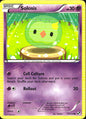 Solosis 55/114 Common Black & White Pokemon Near Mint