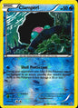 Clamperl 49/160 Common Primal Clash Pokemon Reverse Holo Near Mint