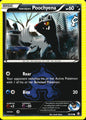 Team Aqua's Poochyena 16/34 Common Double Crisis Pokemon Near Mint