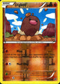 Diglett 58/146 Common XY Pokemon Reverse Holo Near Mint