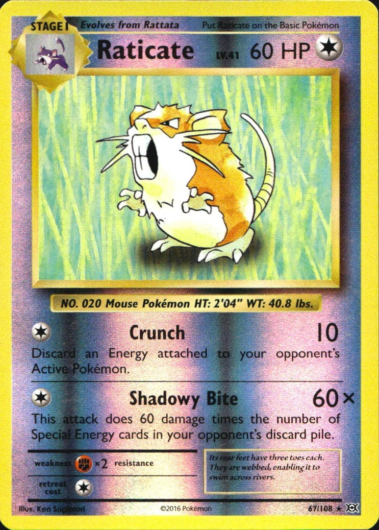 Raticate 67/108 Rare Evolutions Pokemon Reverse Holo Near Mint
