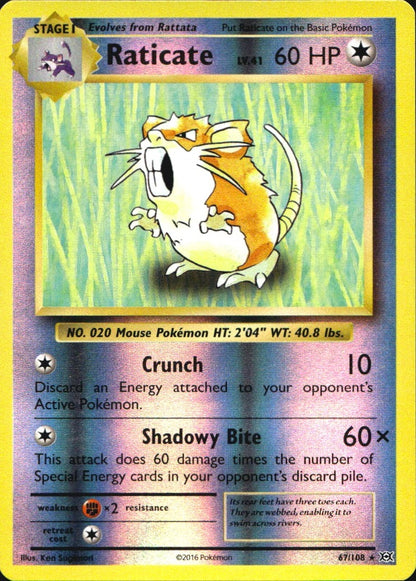 Raticate 67/108 Rare Evolutions Pokemon Reverse Holo Near Mint