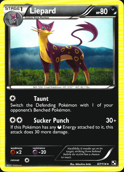 Liepard 67/114 Rare Black & White Pokemon Near Mint